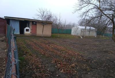 Casă cu 4 camere în Berecuța - 1