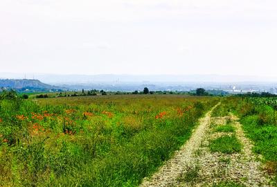 28.554 mp TEREN EXTRAVILAN, TURDA - SĂNDULEȘTI, jud. CLUJ, 300 m de AUTOSTRADA - 13