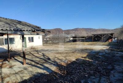 Casă cu 3 camere cu Teren 1681 Mp în Central - 10