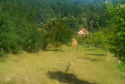 Casă cu 6 camere cu Teren 4000 Mp în Săvârșin - 9