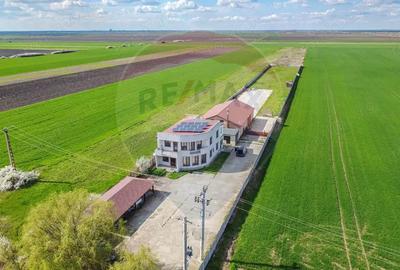 Casă cu Teren 9848 Mp în Beregsău Mic - 20