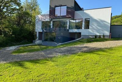 Proprietate specială, de 280 mp, în Almaș - 60