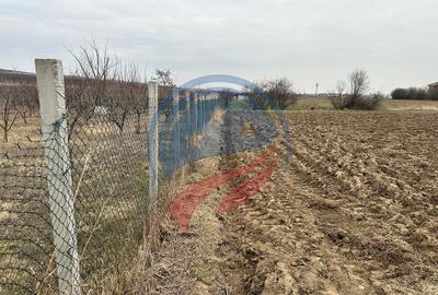 Teren 935mp Bradesti / Strada Valea Rea - 4