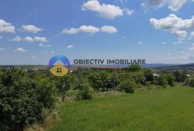 Teren intravilan de vanzare Unghi- jud. Neamt - 16