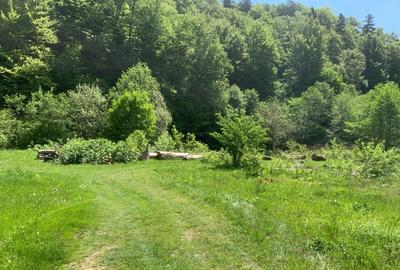 Teren Construcții intravilan de 6769 mp, în Dârste