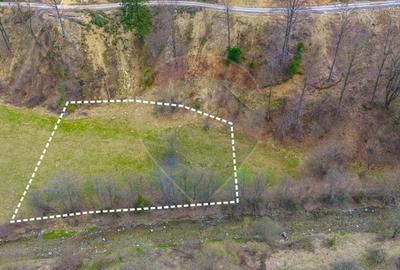 Teren Construcții intravilan de 2000 mp, în Timișu de Jos - 3