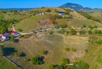 Teren de 6014 mp, în Holbav - 7