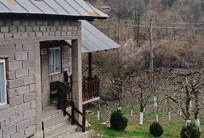 Casă cu 3 camere cu Teren 2800 Mp în Central - 4