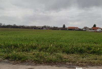 Teren de 2325 mp, în Triaj - 6