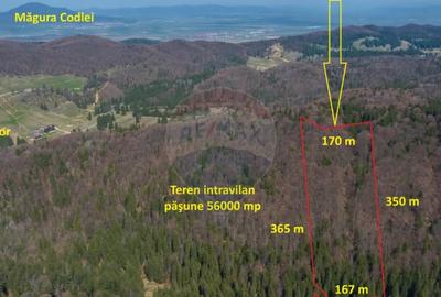 Teren de 56000 mp, în Central - 7