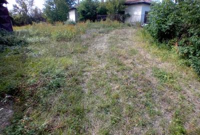 Hala 211 mp. si teren aferent 1600 mp Dobreni jud Neamt - 3