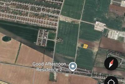 Balotesti 1030m2 - Therme - DN1 Value Center - 2