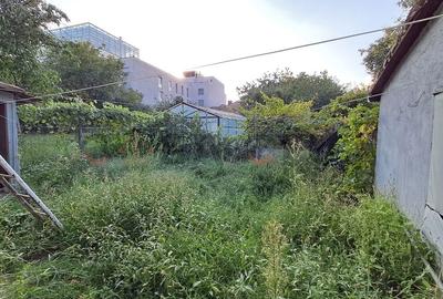 Casa la curte comuna, Andrei Muresanu!! - 7