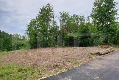 Teren de 923 mp, în Bucium - 3