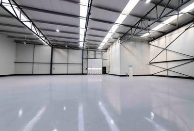 Zona Drumul Intre Tarlale - hale noi 600mp - 1