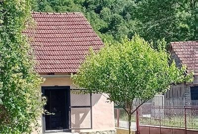Casă cu 3 camere cu Teren 700 Mp în Rișculița - 8
