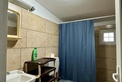 Comision 0% Casa 5 camere - panouri fotovoltaice in Sanandrei - 25