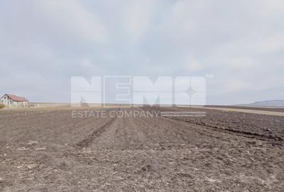Teren agricol intravilan de 7700 mp, în Moara - 3