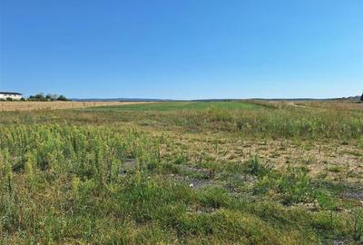 Teren Construcții intravilan de 728.17999267578 mp, în Oșorhei - 3