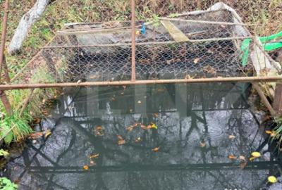 Casă cu 7 camere cu Canalizare în Tohanu Vechi - 6