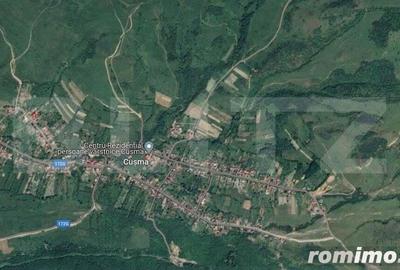 Casă cu 4 camere cu Teren 8000 Mp în Central