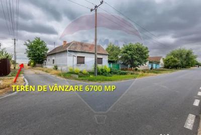 Teren de 6700 mp, în Variașu Mare