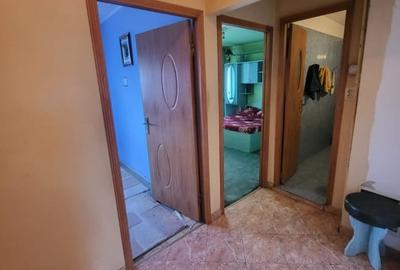 APARTAMENT 3 CAMERE-SEBASTIAN-PARC-VULCAN CENTRE-HOL H - 12