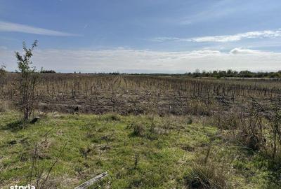 Spațiu comercial, în Rătești - 3