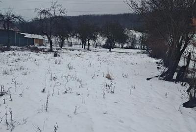 Teren de 2635 mp, în Dăești - 3