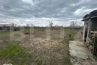 Casă cu 3 camere în Săcueni - 6