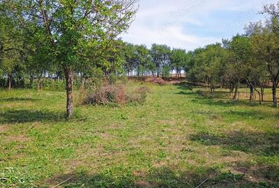 Casa + bucatarie de vara+gradina - 8