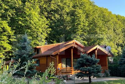 Cabana moderna in Campul Ceta?ii confort ?i natur? - 1