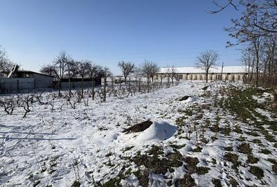 Casă cu 4 camere în Nicolae Bălcescu - 7