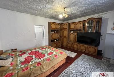 Vanzare casa in Teius - 4