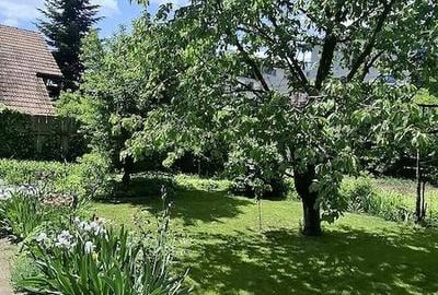 Casă cu Teren 600 Mp în Valea Lupului - 4
