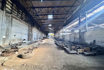 Spațiu comercial, de 500 mp, în Bărăbanț - 1