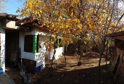 Casă cu 4 camere cu Teren 1828 Mp în Drăcșenei - 7