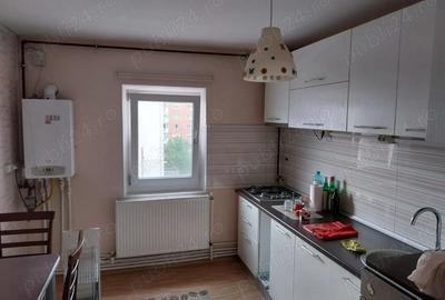 Apartament cu 3 camere decomandat în Alfa - 4