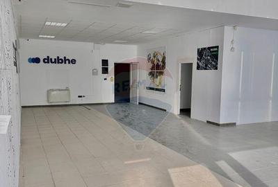 Spațiu comercial, de 450 mp, în Micălaca - 3