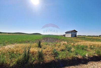 Teren intravilan Maracineni / Strada Manga - 9