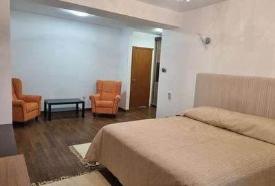 Apartament luminos si spatios, in zona Baneasa - 8