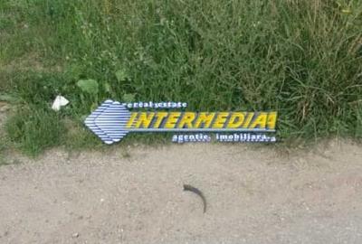 Teren Construcții intravilan de 2300 mp, în Cetate - 5