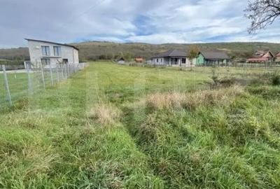 Teren de 2400 mp, în Central - 4