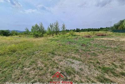 Teren intravilan in Banesti--925 m--40e - 15