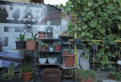 Casa spatioasa cu 6 camere, la cativa pasi de Palatul Mogosoaia - 11