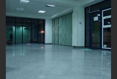 Birou 120m?, Satu Mare, EUR1750 - 2