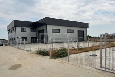 Hala de inchiriat in Domnesti / Centura - 1