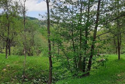 Teren de 5150 mp, în Șotrile - 1