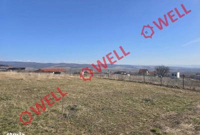 Teren de 750 mp, în Valea Crișului - 2