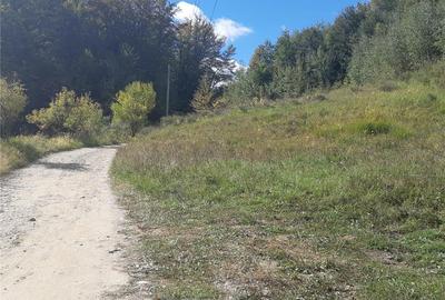 Teren de 5117 mp, în Central - 9
